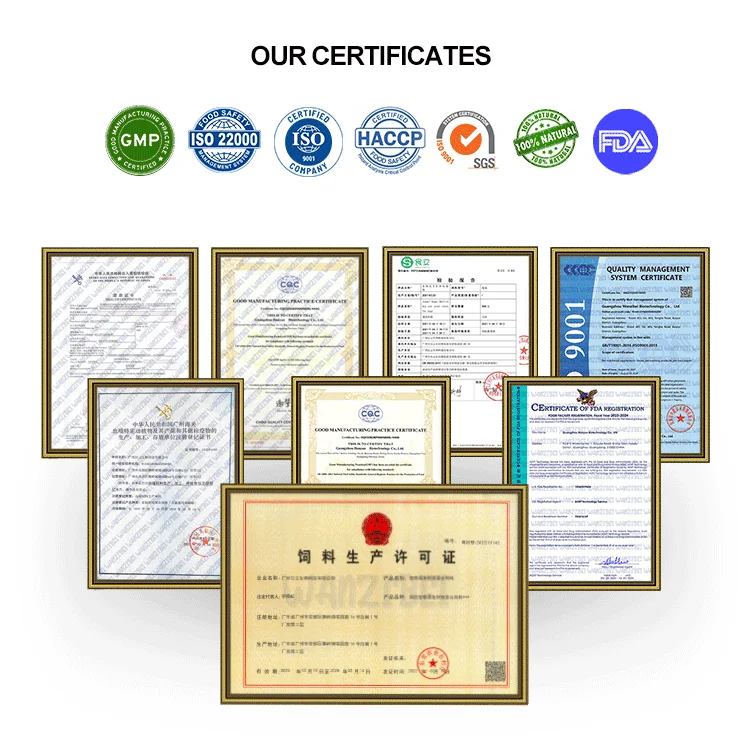 Wholesale Natural Cat Treats Flea and Tick Prevention for Cats 120 Soft Chews Natural Defense Pest with Multivitamin for cats