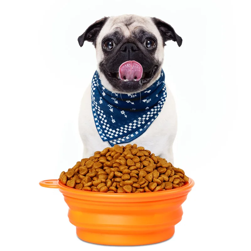 PPYOU Custom Portable Collapsible Slow Feeder Dog Bowl