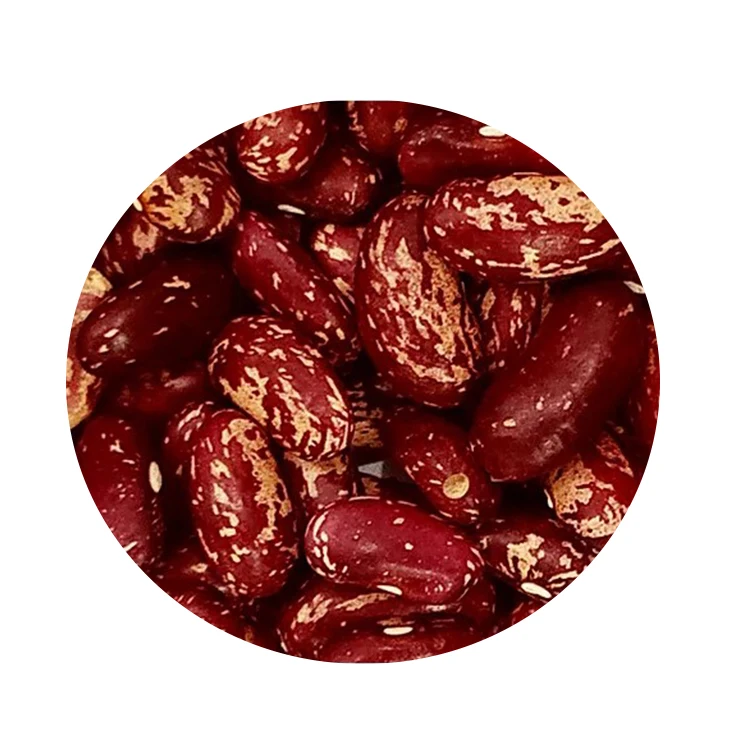 
Red Kidney Beans With Wholesale Price Hot Selling Red Kidney Beans 
