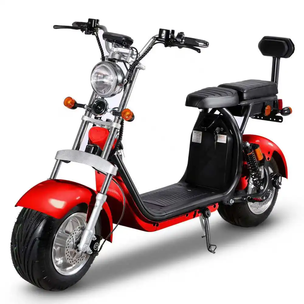 electric motorbike  With passengers 60v 1500w Brushless Surf electric scooter Motorcycles