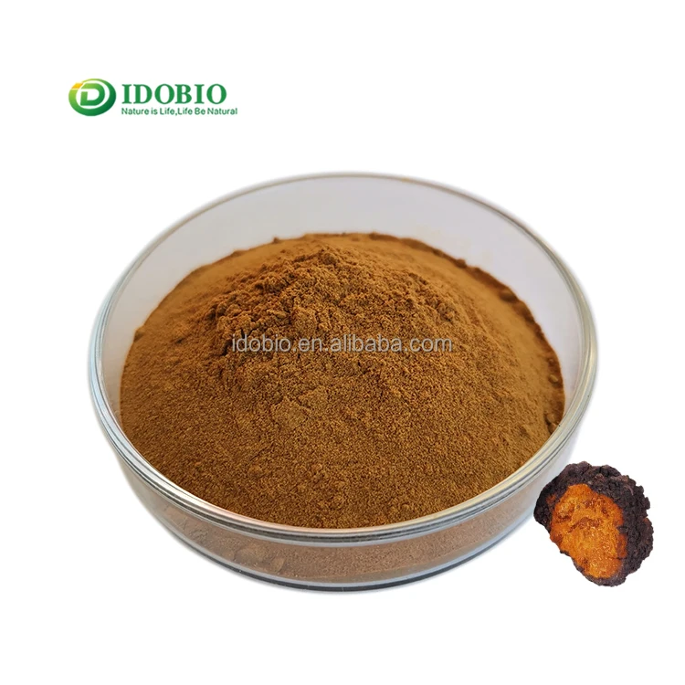 
Immunity enhancing wild siberian chaga/chaga extract polysaccharides 