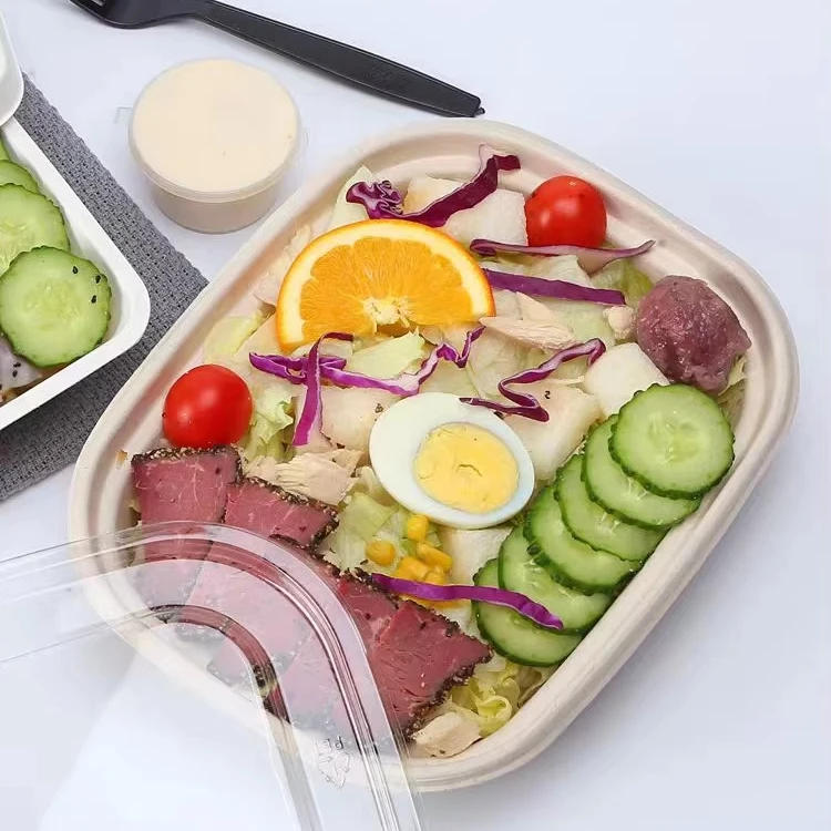 Wholesale  Disposable Bagasse Food Container Biodegradable Sugarcane Pulp  Paper Rectangle Boxes