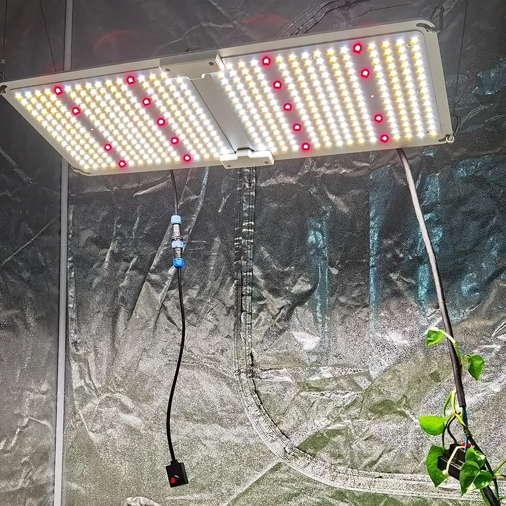5 Year Warranty Greenhouse Full Spectrum Commercial Quantum Led Grow Light