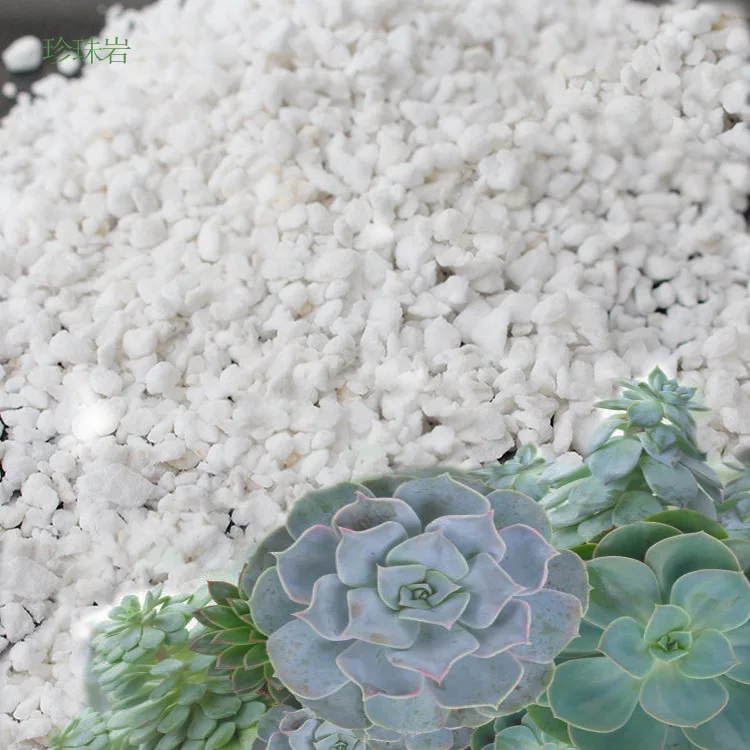 4-8mm Expanded Perlite Agriculture Horticulture White Granule perlite