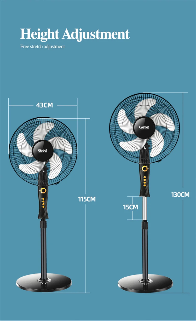 790_14.jpg