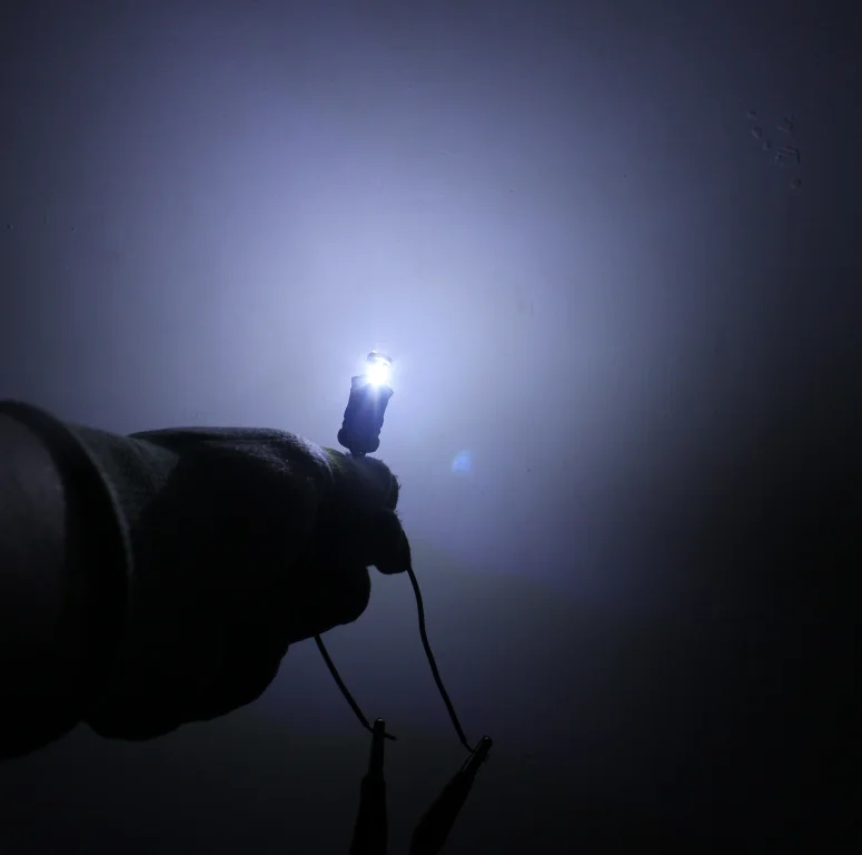 Car led bulbs T10 w5w 168 194 car lights T10 auto led lamps bulbs