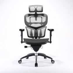 2022 Sihoo B7 high-end  Adjustable Office Mesh Swivel High Back Office Ergonomic Chair for manager room
