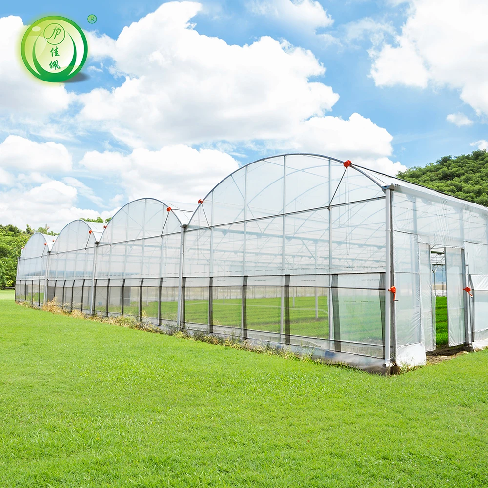 Large Agricultural Greenhouse with Motor Ventilation PCsheet Manufacturing Film Greenhouses Including Irrigation System for Sale