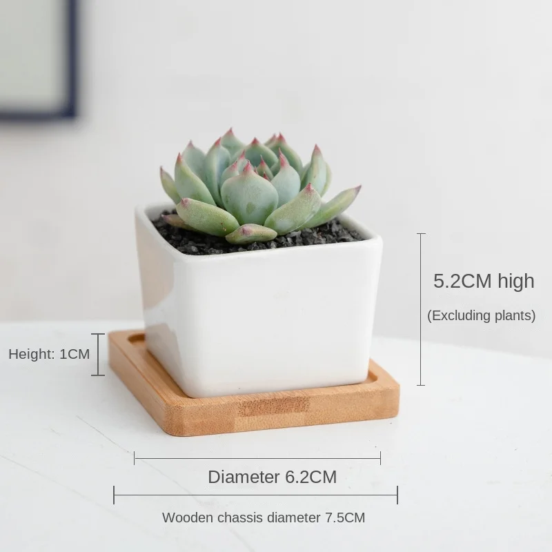New Simple White Succulent Potted Bamboo With Four Square Tray Table Potted Flower Pot