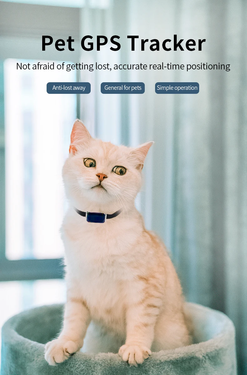 pet technology smart GPS waterproof locator mini wireless collar tracker with APP