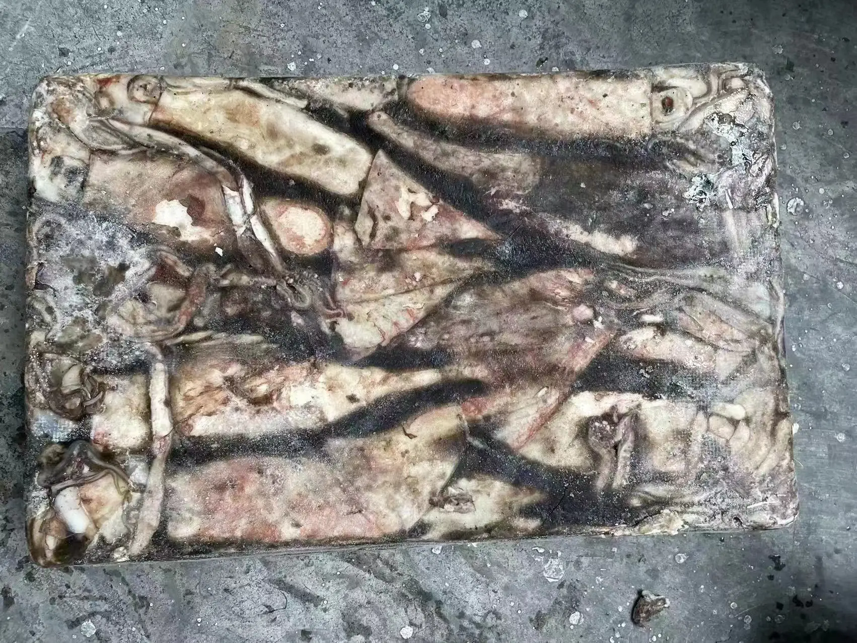 Good Quality Dosidicus Gigas Sea Frozen Giant  Whole Peru Squid