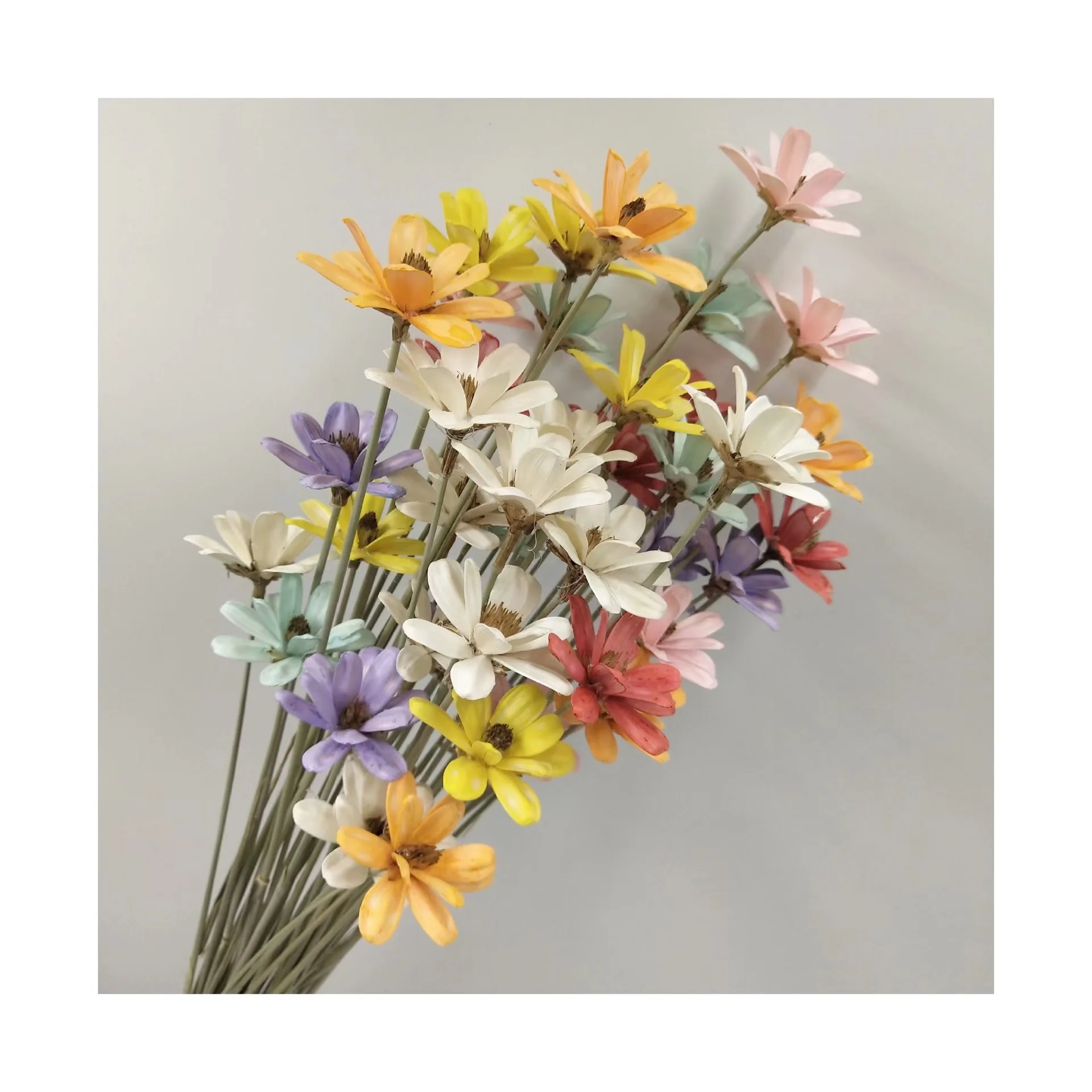 Factory Direct Wholesale Colorful handmade Melon seeds flower for Desktop decoration