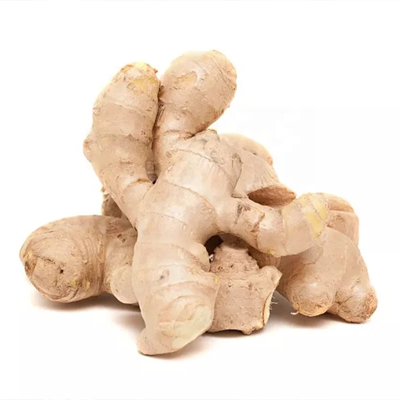 New 10kg Package Fresh Wholesale Chinese Suppliers Fresh Ginger for  Export