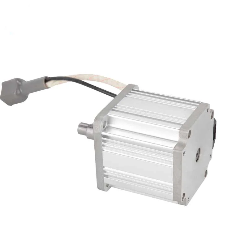 OEM factory for 220V brushless dc motor