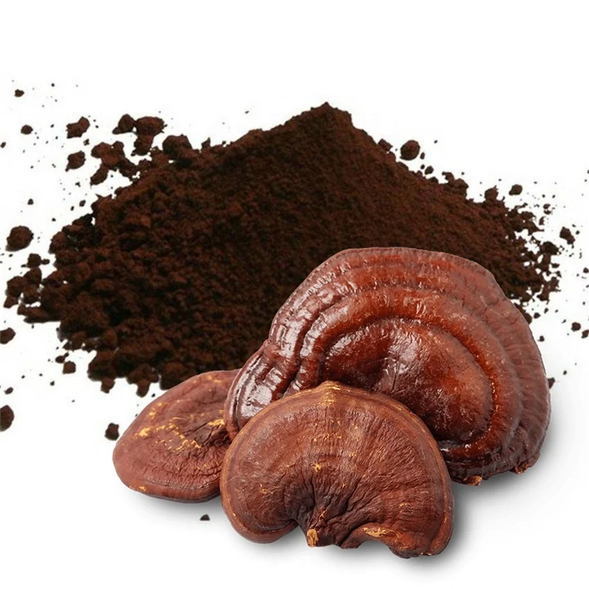 
Amino Acid Nutritional Supplements of Ganoherb Ganoderma Lucidum Reishi Mushroom Shell Broken Spore Powder Organic 