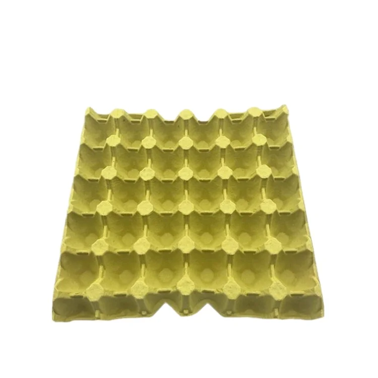 Universial Size Biodegradable Pulp Egg Tray 30 For Organic Eggs