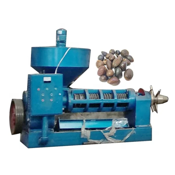 Small scale palm kernel oil processing machine for palm kernel oil factory price stainless steel produced for Equatorial Guinea