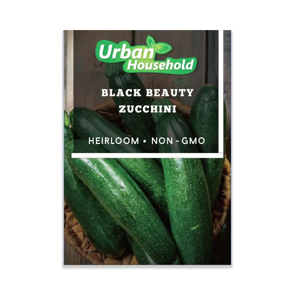 
Seeds Squash Zucchini Light Green Heirloom Vegetable for Planting Non GMO 