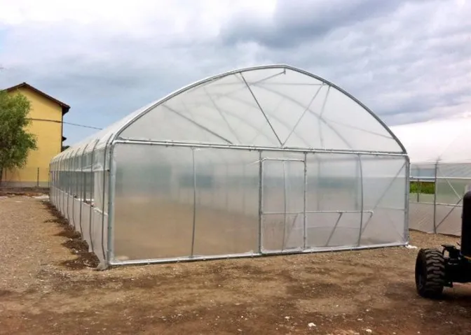 
Single Span Low Cost Tunnel PE Film Greenhouse For Flowers 