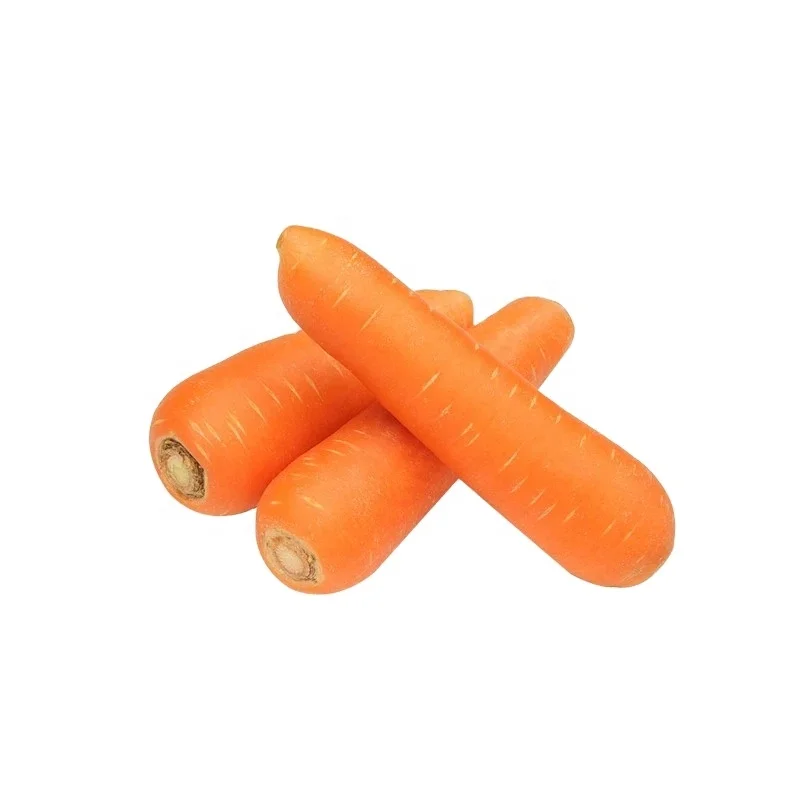 Buy Fresh Carrot Sweet Clean Carrot 2024 New Crop