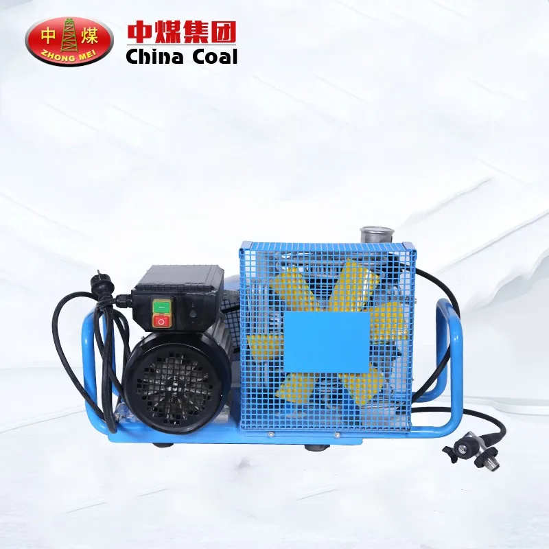 Low Price High Quality 200/300bar Portable High-pressure Air Compressor for Diving