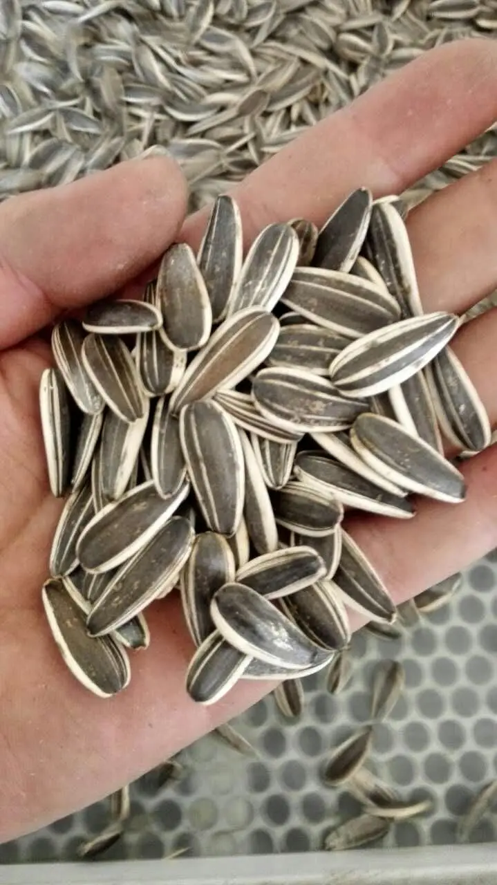 Double-Layer Belt Conveyor CCD Colour Sorter Broken Glass Bottles Color Sorter Separator Glass Color Sorter Sorting Machine