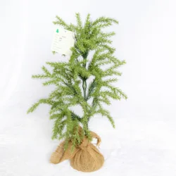 Hot Sale Styles Gifts Mini Christmas Tree For Christmas Home Decoration PE Gift Set