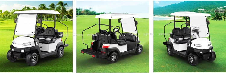 WFSEN S2 48v 4kw manufacturer mini 2 4 6 8 seater golf cart electric golf car with part