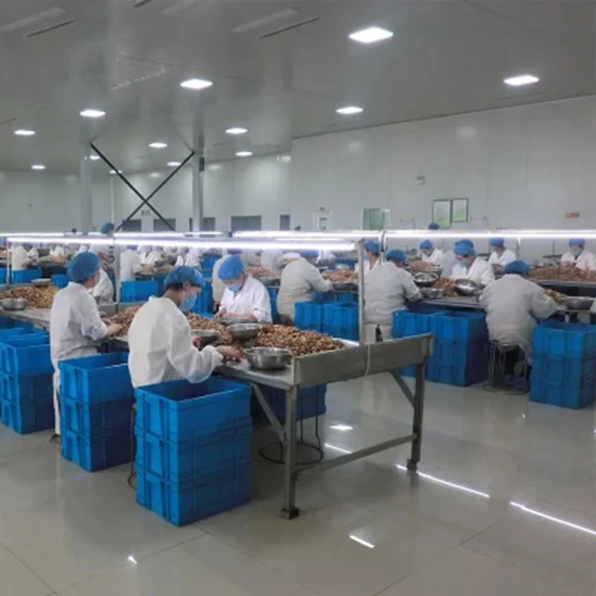 Factory Direct Hot Sale High Quality Xinjiang 185 Light Color Half Walnut Kernels