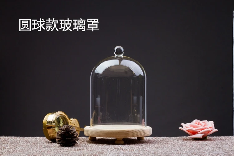 Beauty and the beast glass dome cover with copper string lights / cloche