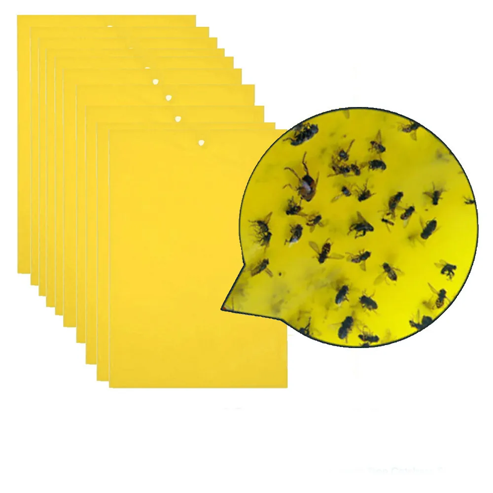 
Strong Flies Traps Bugs Sticky Board Catching Aphid Insects Killer Pest Control Whitefly Thrip Leafminer Glue Sticker 