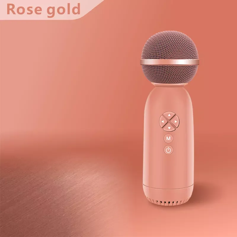 New Arrival Karaoke Music Portable Karaoke Player Interesting Karaoke-Machine With Wire Microphone