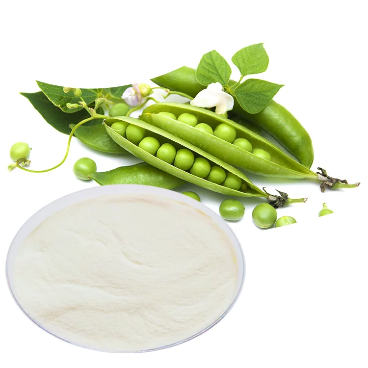 Instant Pea Peptide Natural Pisum Sativum Extract Protein Powder Collagen Peptide