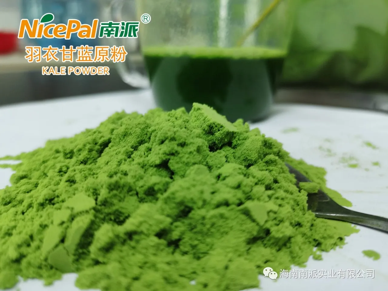Natural super food spray dried kale powder rich in selenium dietary fiber for functional healthcare capsules tablets