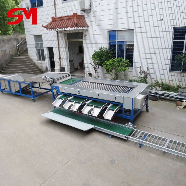 High Efficient Most World Popular Frozen Cherry Tomatoes Sorting Machine