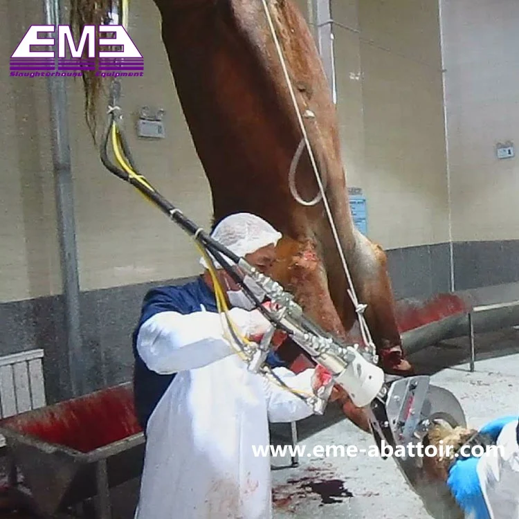 Full Automatic Halal Cow Slaughterhouse Equipment Bovine Weight Scale Cattle Abattoir for Beef Processing Line