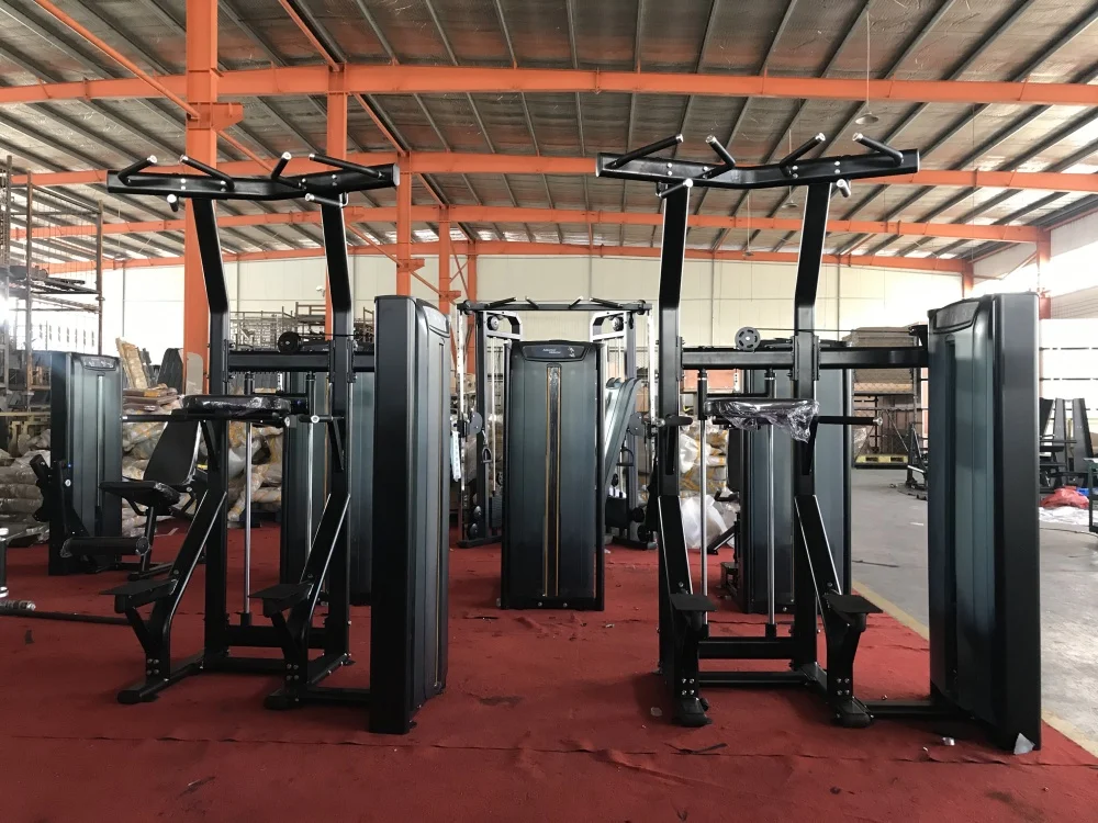 High Quality Professional Pin Loaded Dip Chin Strength Machine Assisted Sports Gym Equipment