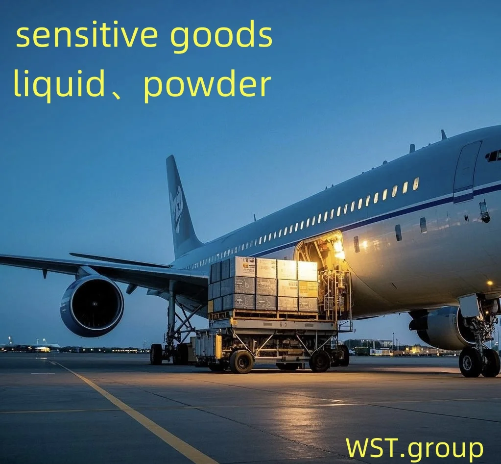 Global China DHL Door to Door Service Shipping Agent Global Fast Transportation Freight Forwarder DHL to USA