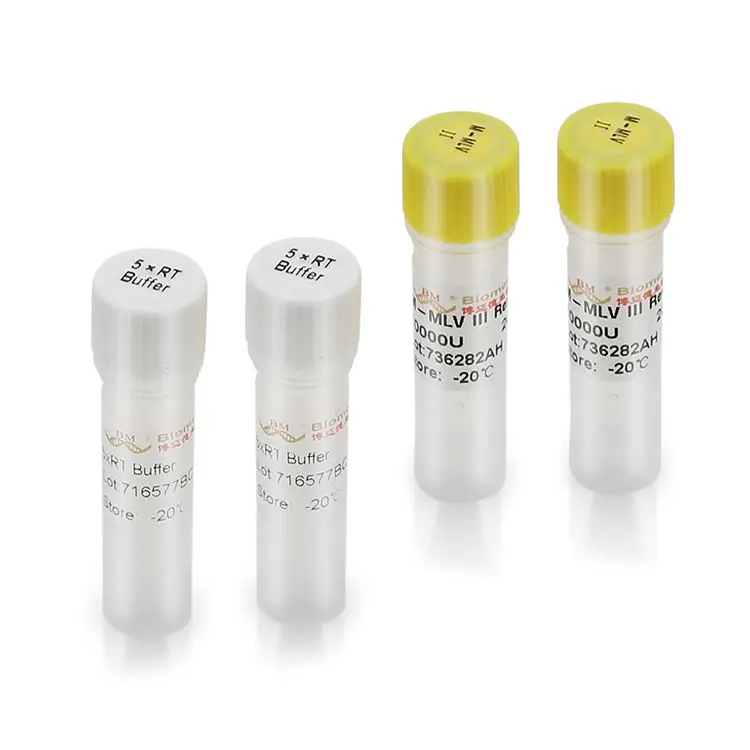 High Efficiency Transscript Non-Nucleoside Reverse Transcriptase