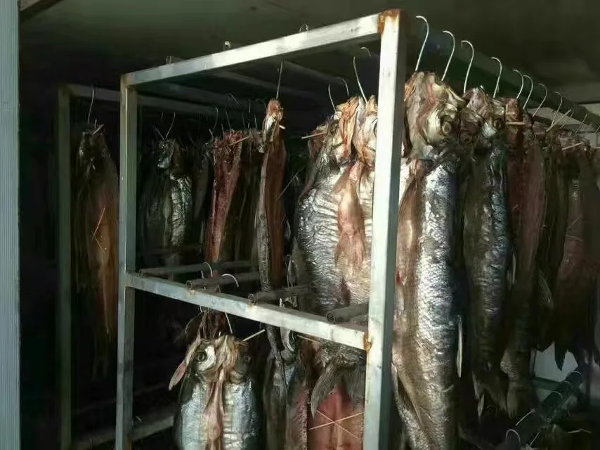 MEIYA Heat Pump industrial cold air Fish Maw Dryer Meat Dry Machine Drying Equipment Meat Dehydrator beef jerky dryer