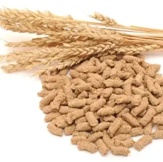 Wheat bran pellets for feeding farm animals High quality Natural product Animal feed Low Price