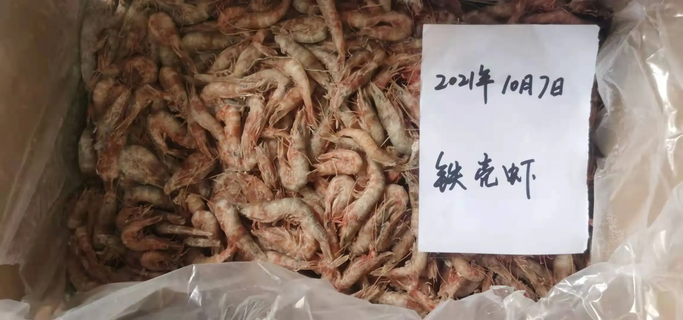 China Origin Brine Shrimps Seafood Vannamei Shrimp Frozen