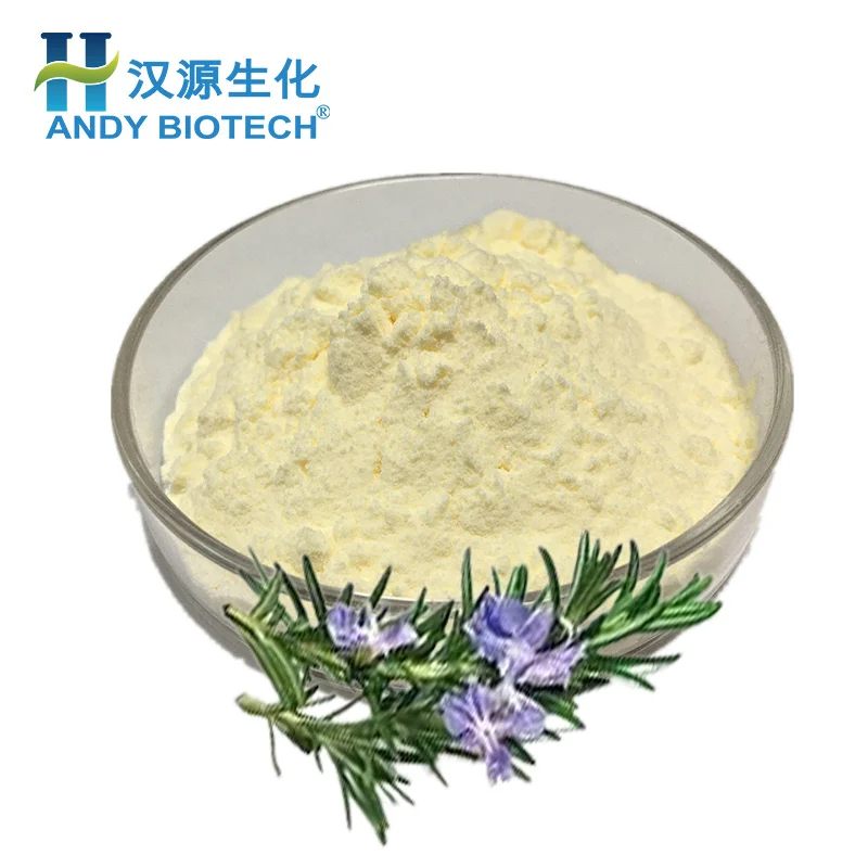 High Quality Rosemary Extract Rosemary Leaf Extract  25% Ursolic Acid Powder