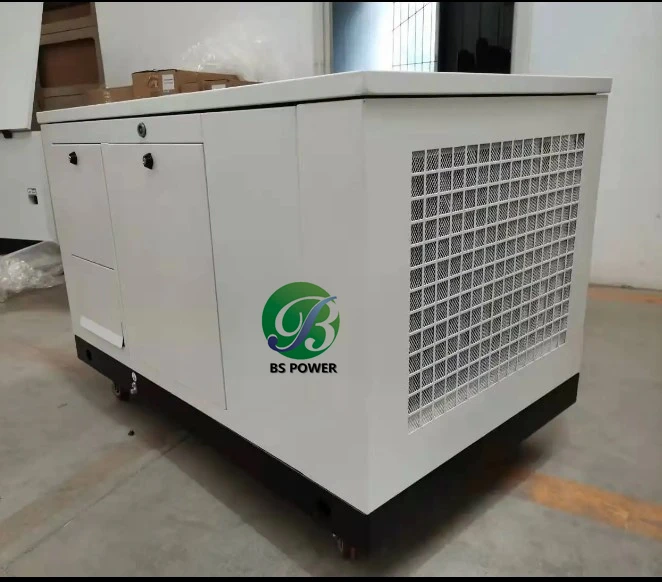 EPA Certified 60HZ Single Phase 15KVA Portable LPG Propane Gas Generator 18KVA 20 KVA Natural Gas Powered Generators