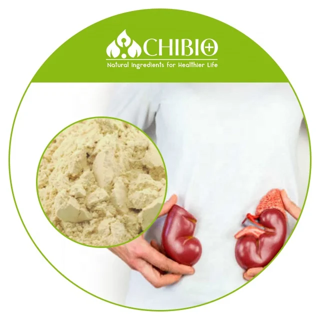 
100% Factory 95% Pure Pea Protein Isolate Powder for Nutrition Enhancer 