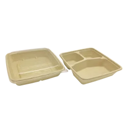 8*8-inch 1000ml/32Oz Square Environmental Biodegradable Takeaway Disposable Recycled Food Container Sugarcane Bento BOX