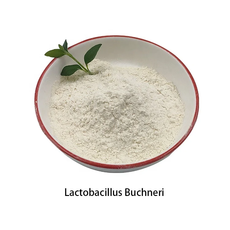 Гарантированное качество и разумная цена, пищевые добавки, пробиотический порошок лактобациллы бучнери
