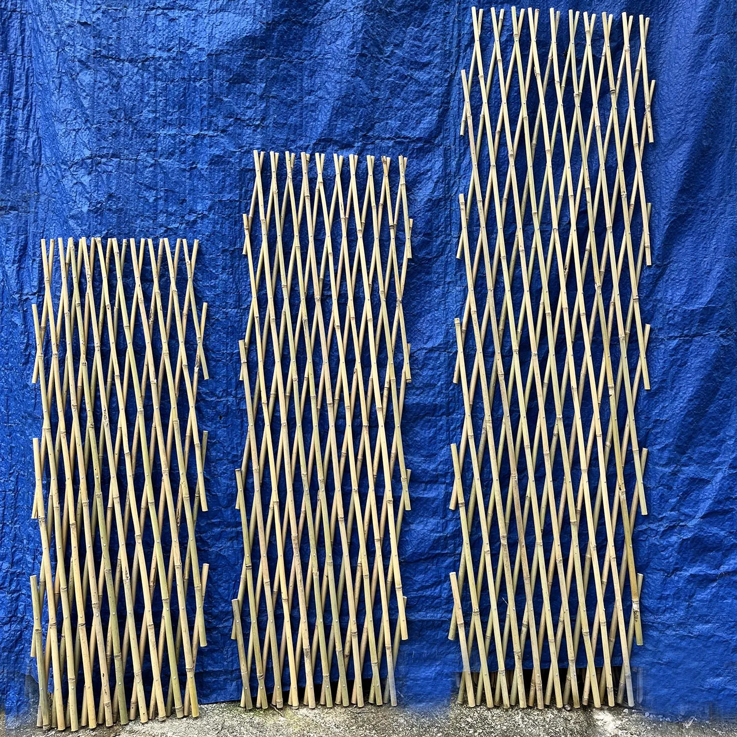 Natural Handmade Expandable Bamboo Raw Materials Fence Bamboo Garden fencing roll Bamboo Plant Fence