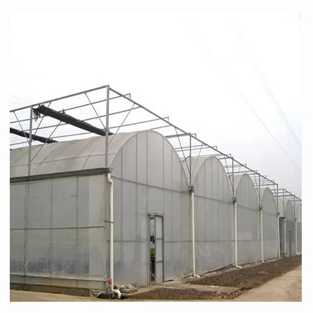 Commercial Multispan Green House Plastic Film Greenhouse For Sale