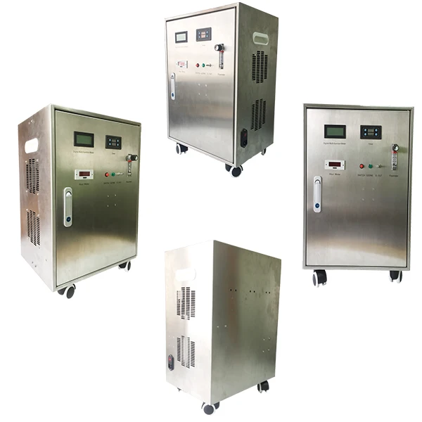 10g water treatment machine ozone generator use for Swimming pool, fish pond